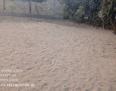 Vente d'un terrain vidé à Terre jaune non loin de macadam Commune de la nsele