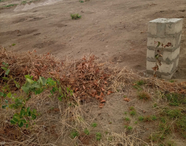 Des terrains mise en vente à Bibwa commune de la nsele 1500$,1300$