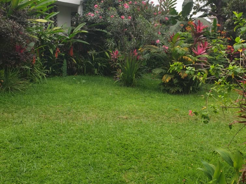 Villa soza